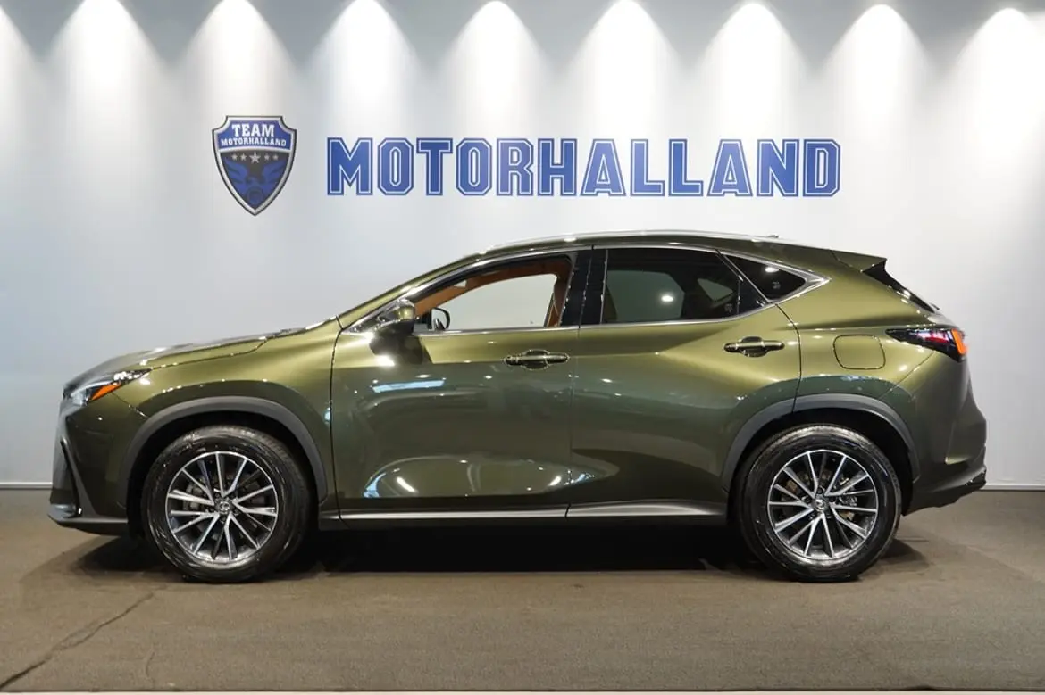 Lexus NX 2024