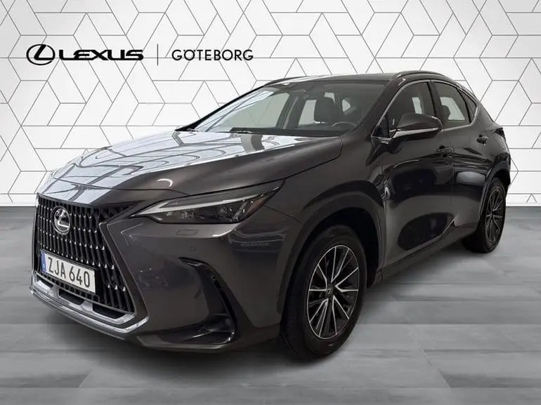 Lexus NX 2024
