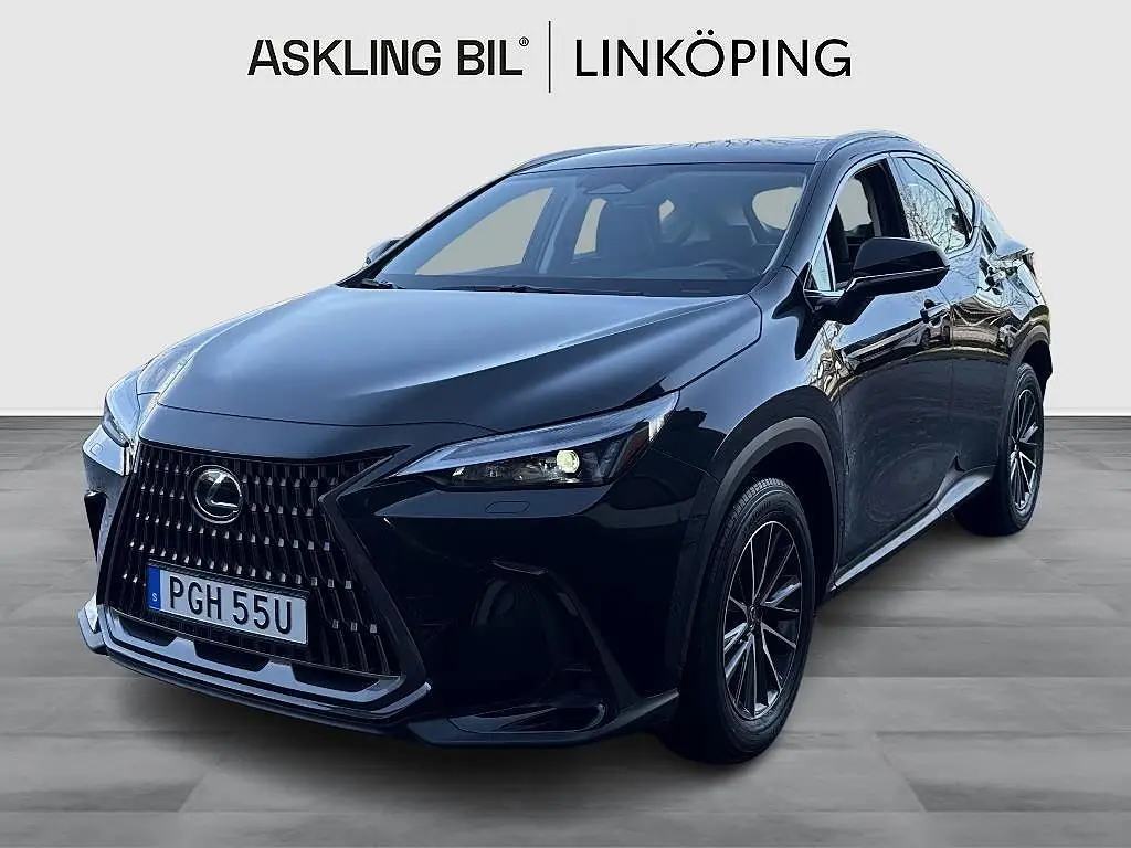 Lexus NX 2024