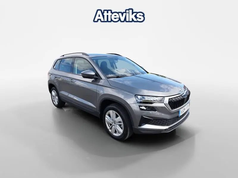 Skoda Karoq 2026