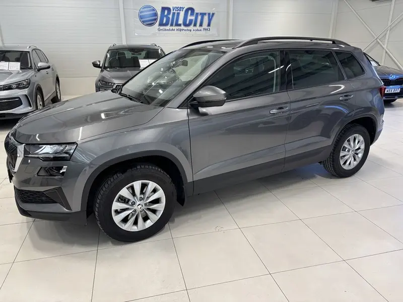 Skoda Karoq 2025