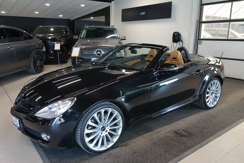Mercedes-Benz S-Klass 2009
